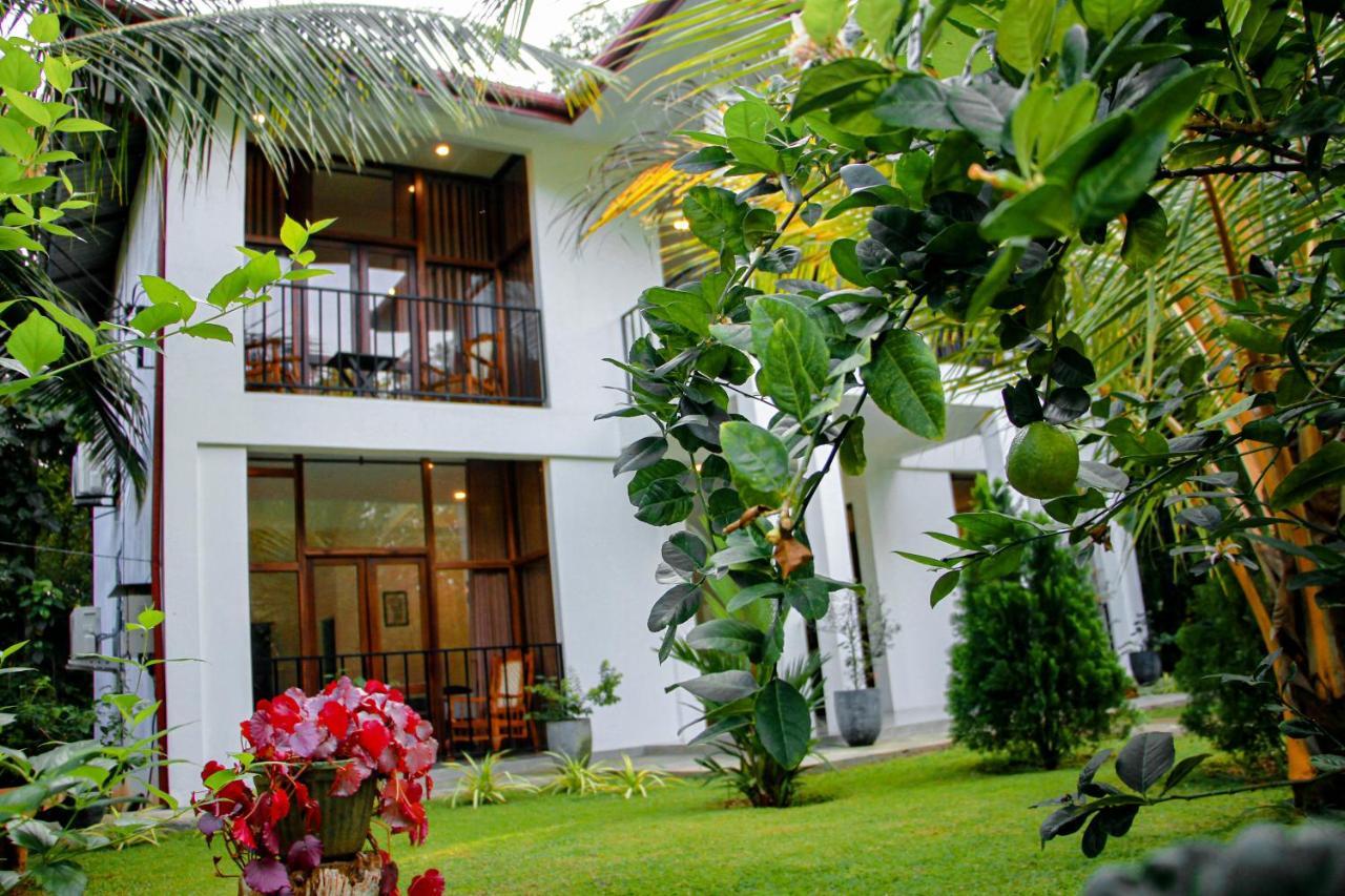 Manike Lodge Habarana Ngoại thất bức ảnh