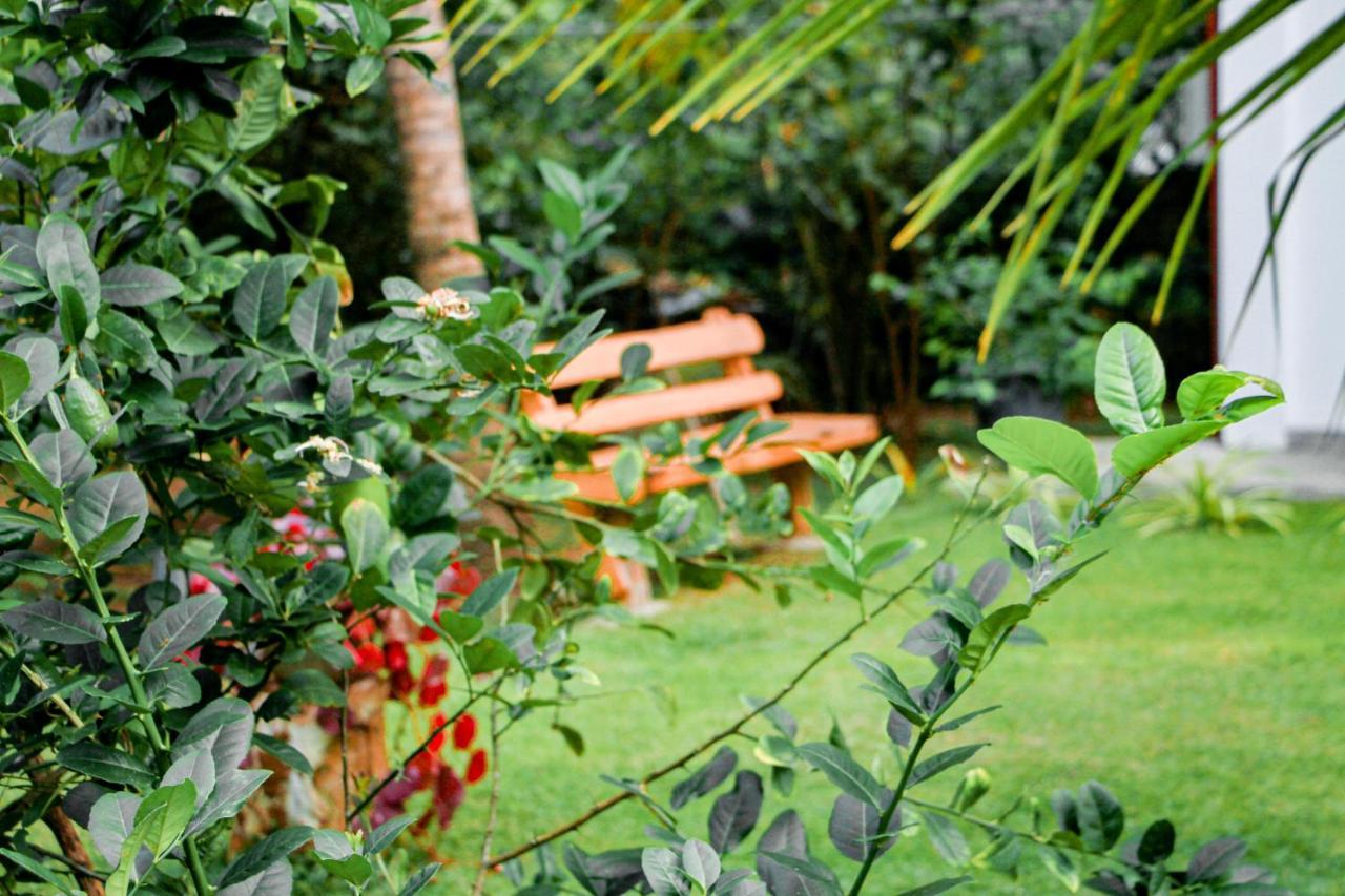 Manike Lodge Habarana Ngoại thất bức ảnh